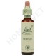 Bach Flower Remedies for Animals - Vervain